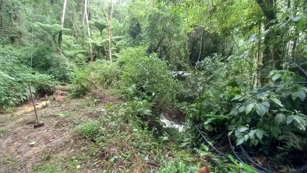 SITIO EM AURORA/SC 5 HECTARES