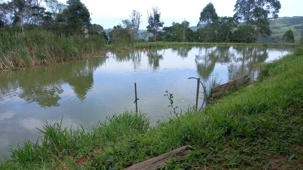 SITIO EM AURORA/SC 5 HECTARES