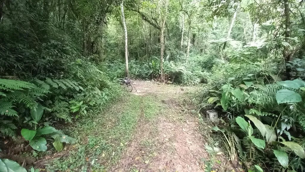 SITIO EM AURORA/SC 5 HECTARES