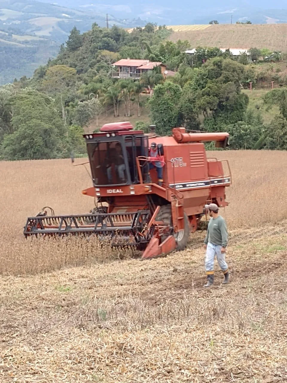 COLHEITADEIRA IDEAL 1175 COM CARRETA 22 PÉS