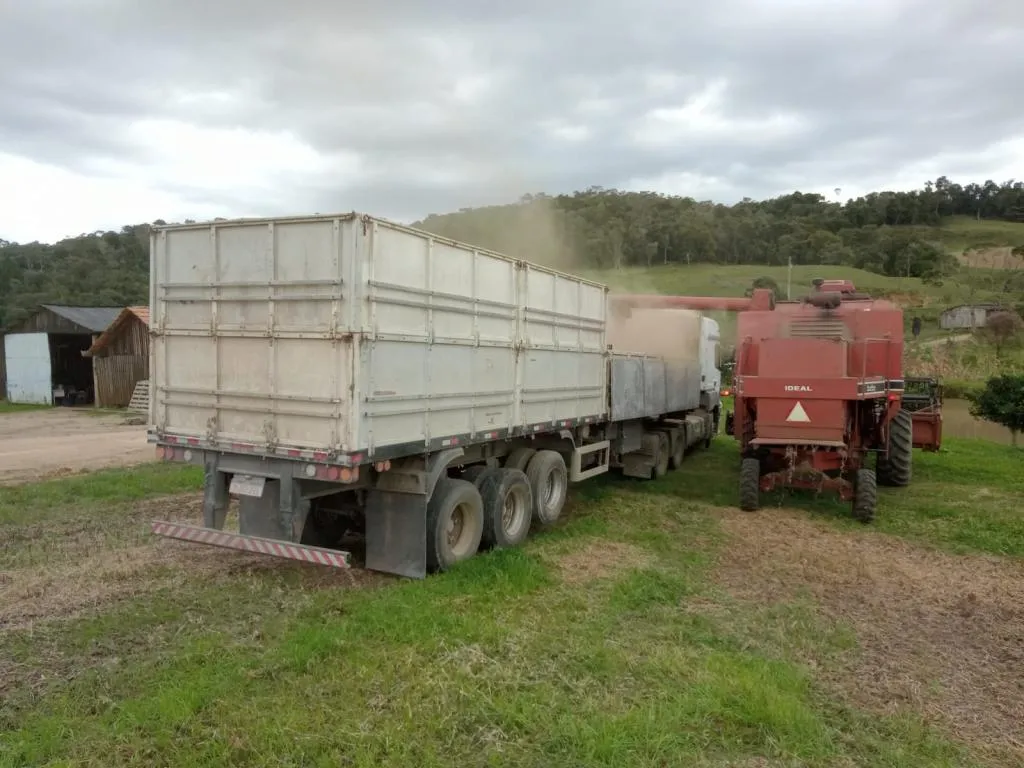 COLHEITADEIRA IDEAL 1175 COM CARRETA 22 PÉS