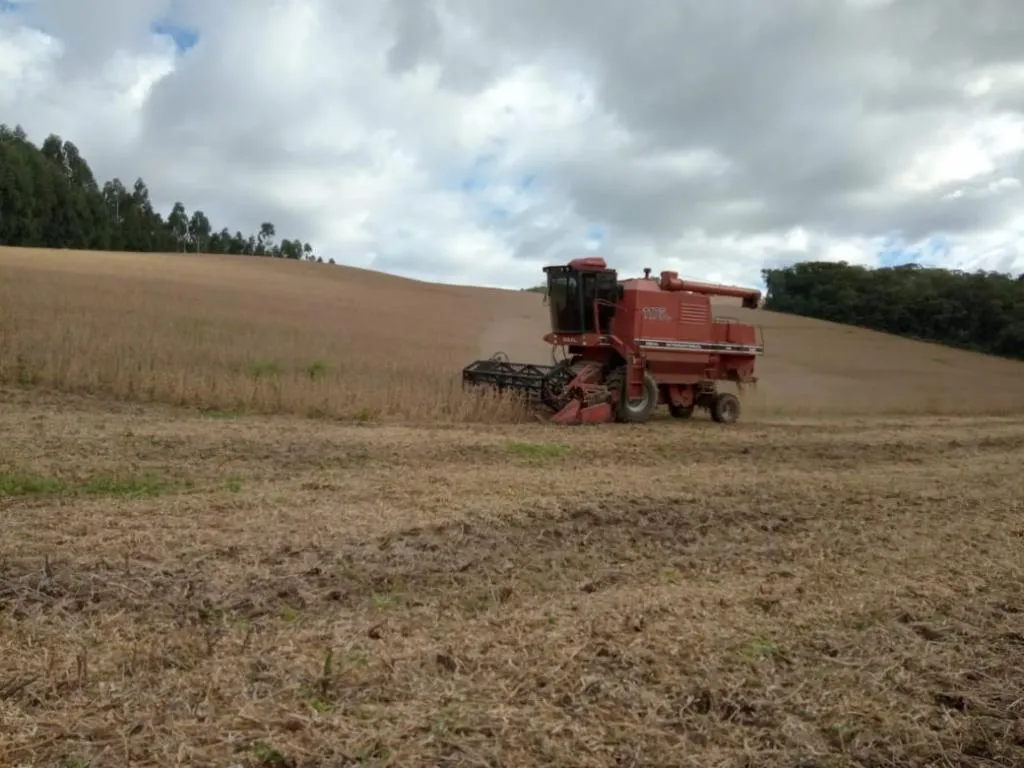 COLHEITADEIRA IDEAL 1175 COM CARRETA 22 PÉS