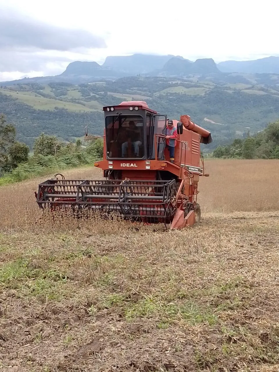 COLHEITADEIRA IDEAL 1175 COM CARRETA 22 PÉS