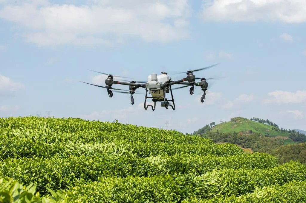 Drone DJI Agras T50 Para Pulverização