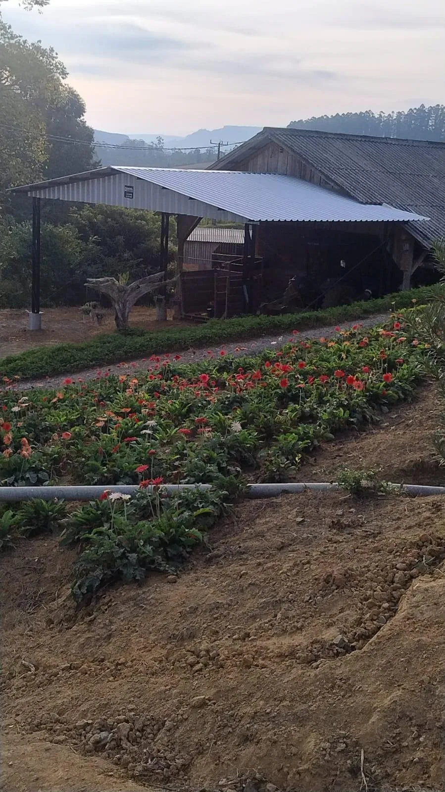 Galpão Metálico Sob Medida Planos Detalhados E Personalizado