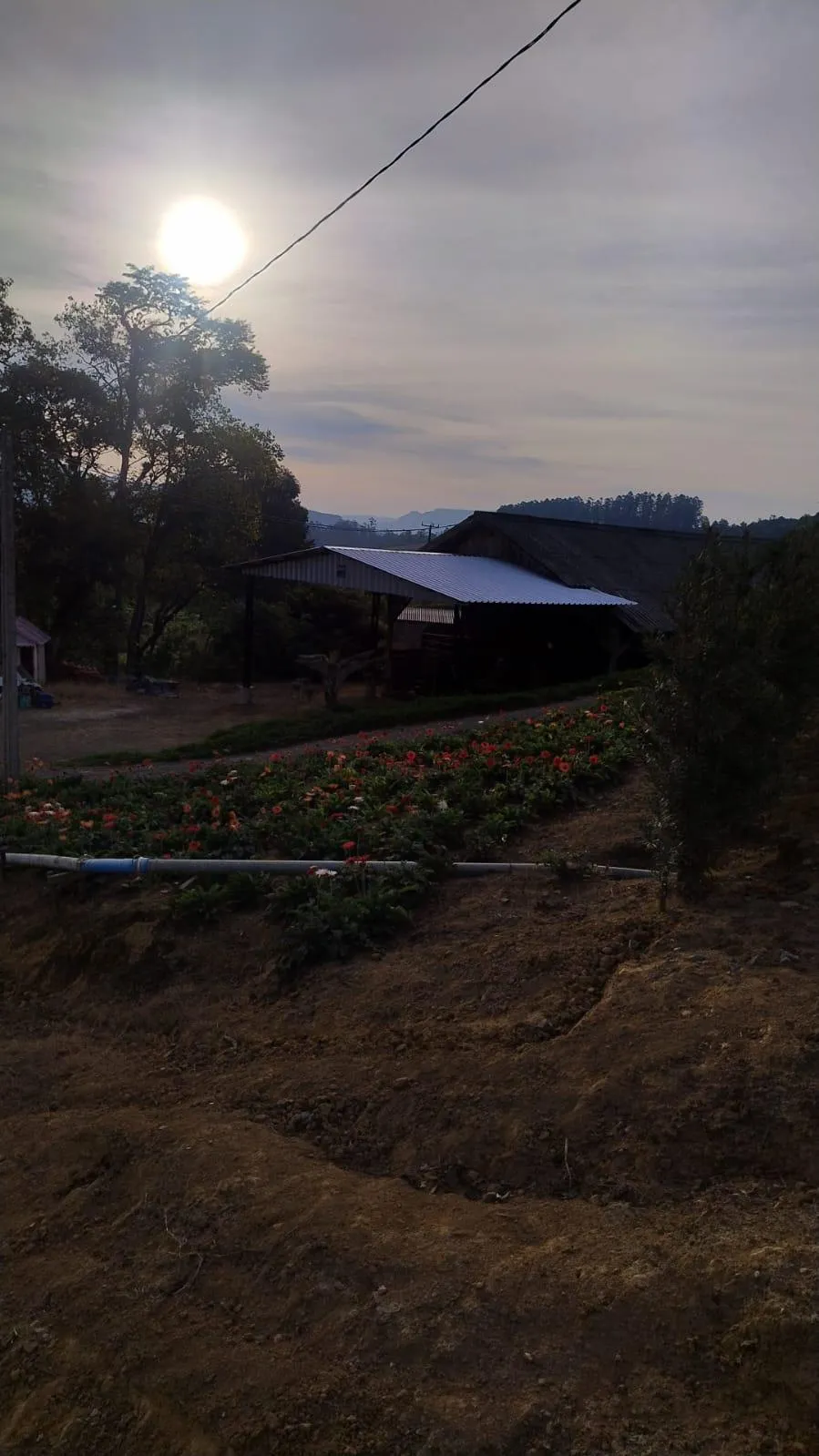 Galpão Metálico Sob Medida Planos Detalhados E Personalizado