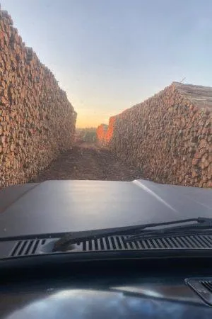 Lenha de Eucalipto para Caldeiras 