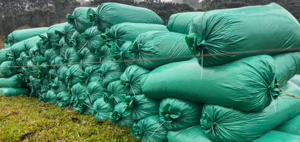 Silagem de milho ensacada  25 kg 