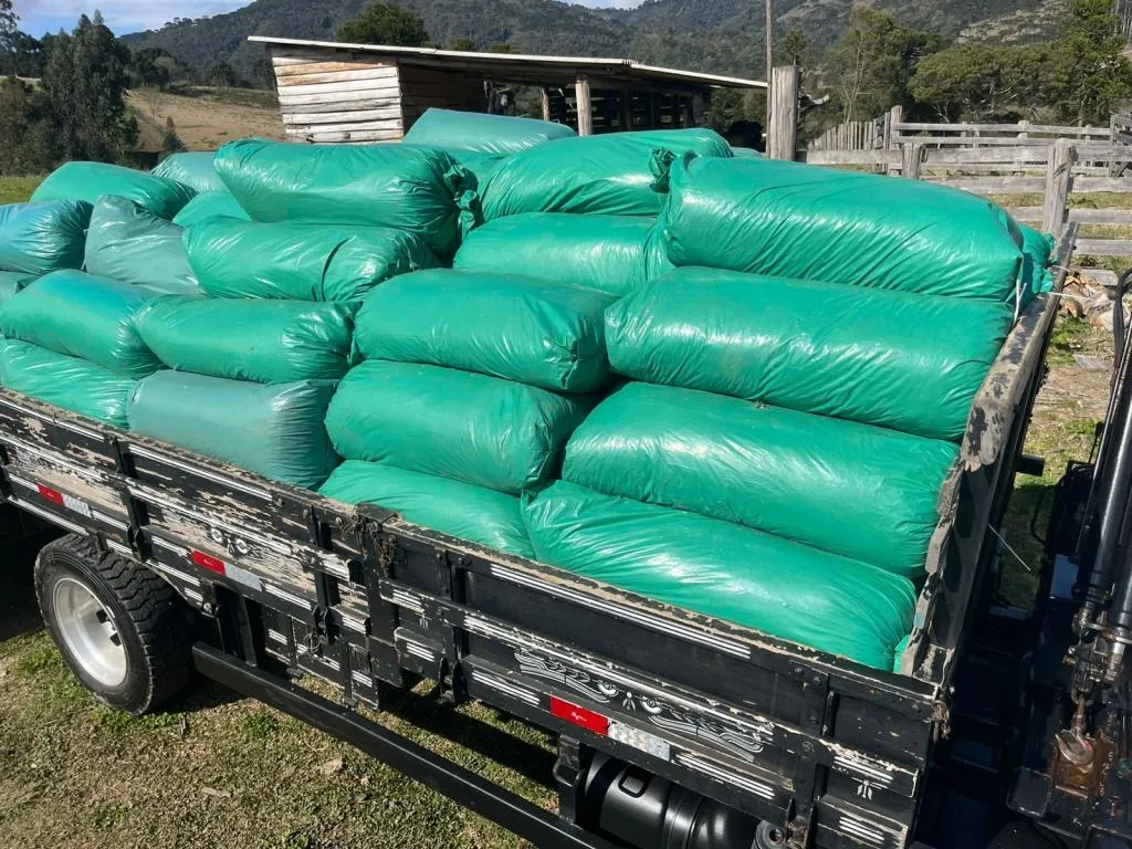 Silagem de milho ensacada  25 kg 
