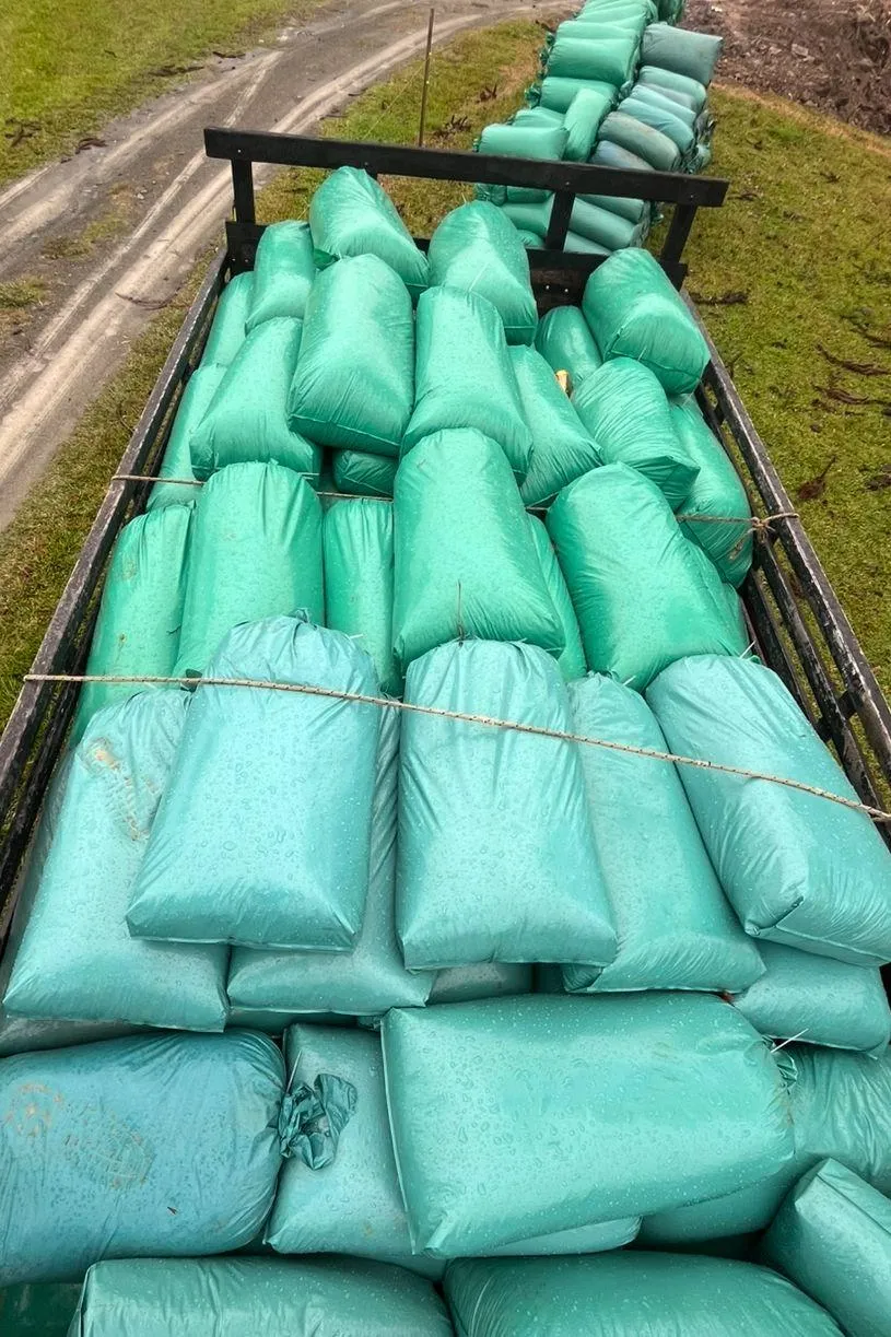 Silagem de milho ensacada  25 kg 