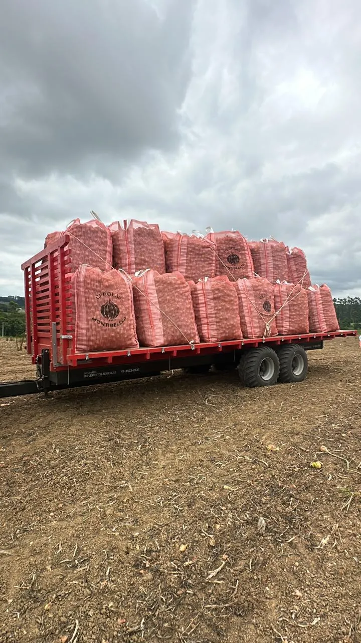 CARRETA AGRÍCOLA NEUHAUS  PARA CEBOLA DE 10 a 15 Ton