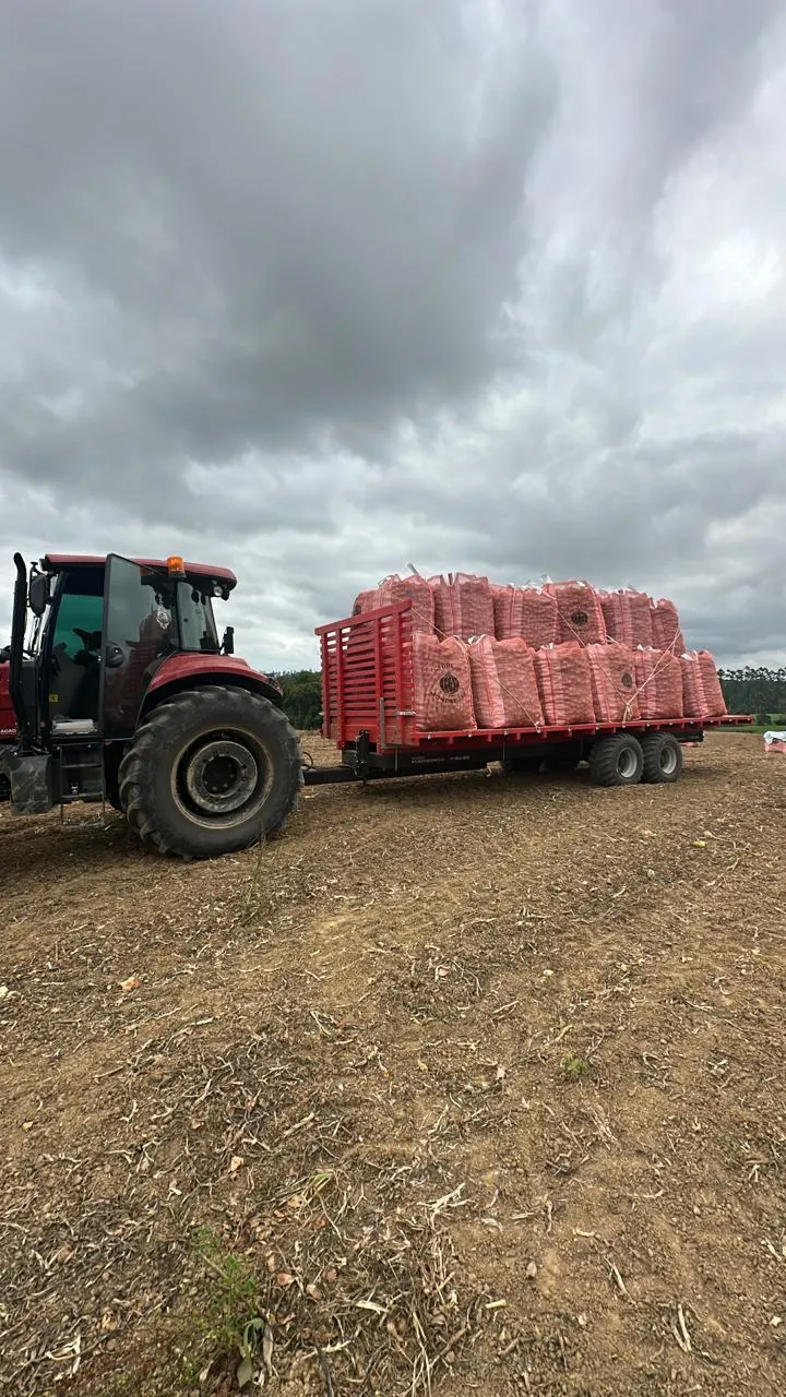 CARRETA AGRÍCOLA NEUHAUS  PARA CEBOLA DE 10 a 15 Ton