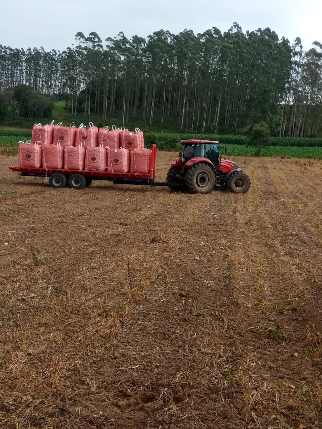 CARRETA AGRÍCOLA NEUHAUS  PARA CEBOLA DE 10 a 15 Ton