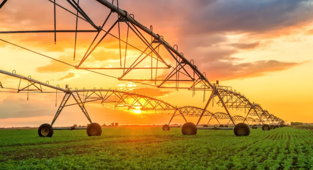 Agricultura inteligente: 6 tecnologias que podem auxiliar sua fazenda