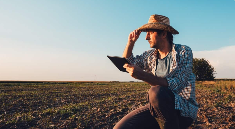 Planejamento rural: veja como se preparar para o cenário rural no próximo ano