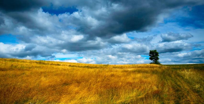 Impactos climáticos: Como as mudanças atuais podem afetar a agricultura?