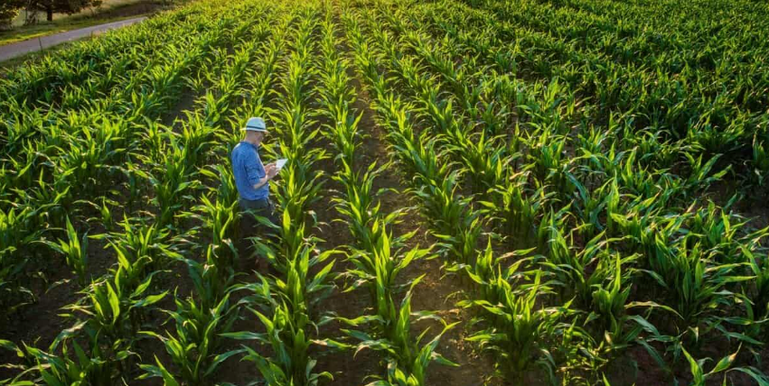 Tecnologia no campo: Como ela impacta a produtividade?